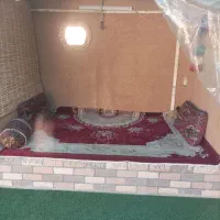 صرف غذا در محیطی زیبا با قیمت مناسب|خدمات پذیرایی، مراسم|مرودشت, استادیوم‎|دیوار