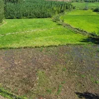 پلاک های باغات داخل طرح هادی|فروش زمین و ملک کلنگی|صومعهسرا, |دیوار