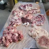 گوسفند زنده پرواری نصف‌ونصف گوشت میده|حیوانات مزرعه|قم, الغدیر|دیوار