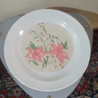 بطری نوشابه یک ونیم لیتری سطل درب دار وقوطی رب|ظروف نگهدارنده، پلاستیکی، یک‌بارمصرف|مشهد, رضاشهر|دیوار