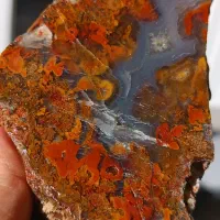 ۳۳قطعه عقیق  شجر