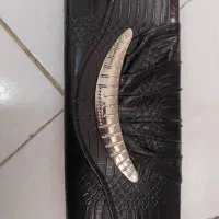 کیف مجلسی،۲۰۰۰۰۰