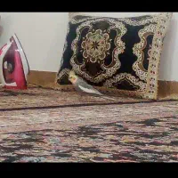 فروش فوری عروس هلندی