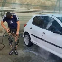 استخدام روشورحرفه ای در کارواش نانو بخارپاسارگاد