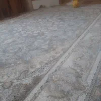 دوتا قالی ۹ متری