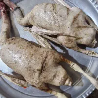 غاز واخضری کله سبز