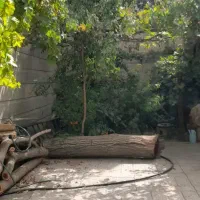 منزل ویلایی 1طبقه دربست 219متر پلاک دوم رباط اول