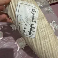 شلنگ کولری نرم ضدافتاب ۵۰۰متری