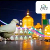 تور هوایی مشهد