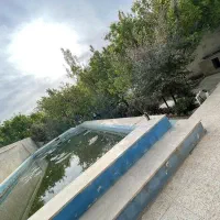 باغ‌ویلا زیبادشت + برائت / انشعاب کامل ۶۵۰ متر|فروش خانه و ویلا|محمدشهر, زیبادشت|دیوار