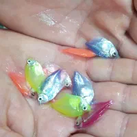 فروش انواع ماهی های تزئینی،به صورت کلی وجزئی،