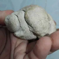 سنگ فصیل قدیمی