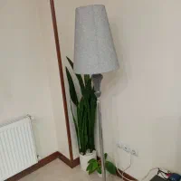 آباژور|چراغ خواب و آباژور|پردیس, فاز ۸|دیوار