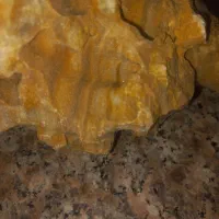 سنگ‌اکواریومی|ماهی|همدان, |دیوار