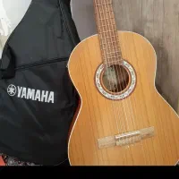 گیتار پارسی m5