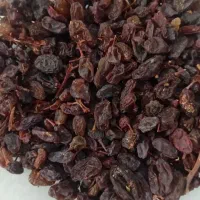 کشمش آفتابی