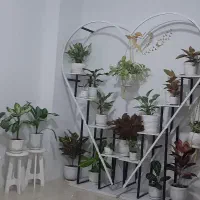استند گل قلب