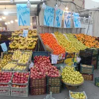 نیروی کار|فروشگاه و مغازه|قم, نیروگاه|دیوار