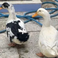 فروش تعدادی وسایل با تخفیف