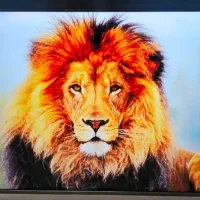 ال ای دی 55 اسنوا اندروید 4k اسمارت درحد نو