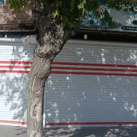 اجاره مغازه دونبش دوطبقه لوکیشن 20فلکه پیرانشهر|اجارهٔ مغازه و غرفه|نقده, |دیوار