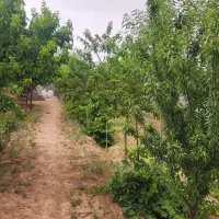 باغ ویلا. مجتمع گوهر هشتم|فروش زمین و ملک کلنگی|مشهد, کلاکوب|دیوار