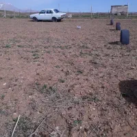 زمین باغ وگلخانه|فروش زمین و ملک کلنگی|کرمانشاه, |دیوار