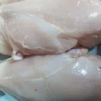 فیله(سینه بدون استخوان) گرم مرغ شمال