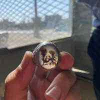 انگشتر نقره کار دست شجر قاینات|جواهرات|تربتحیدریه, باغ سلطانی|دیوار