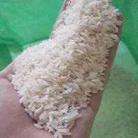 برنج هاشمی اورگانیک|خوردنی و آشامیدنی|اسالم, |دیوار