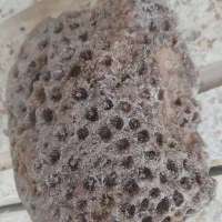 سنگهای قیمتی عقیق.مرجان