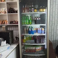 یخچال کافه