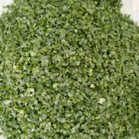 انواع سفارشات هویج
