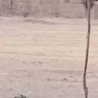 زمین-مسکونی