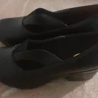کفش زنانه|کیف، کفش، کمربند|قم, ارم|دیوار