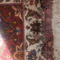 کارخانه قالیشویی(بهتا)کیفیت ما/اعتبار ماست‌.vipشور|خدمات نظافت|اصفهان, هفتون|دیوار