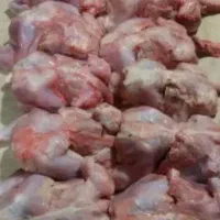 غذای مخصوص سگ و گربه