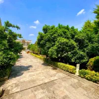 هر-چی-ویلا-1000-متری-دیدی-بذار-کنار-یه-دونه-معرکه