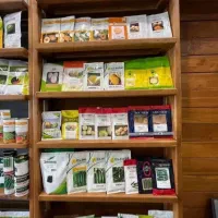 فروش بهترین رقم های ملون/گوجه/هندوانه/پیاز