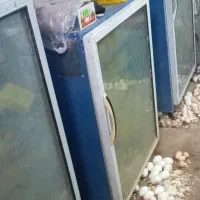 جوجه کشی مرغ غاز اردک بوقلمون