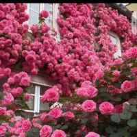 اجاره مسکن/ مهر نور /۲خواب /وموارد