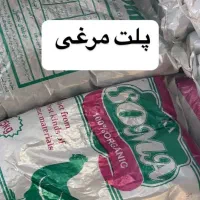 راهنمای کٓود مْرغیّ|فعالیت داوطلبانه|بندرعباس, |دیوار