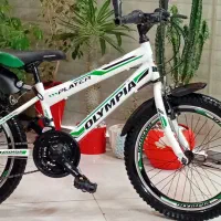 دوچرخه20دنده ی پارسال گرفتم10بار سوارنشد مشابه نو