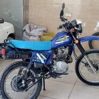 شهاب الگانس تایوانی خشک