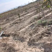 یاقچه350در-کریم-آباد-نظرآباد