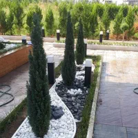 علفتراشی  بریدن درخت وکلیه کارهای  باغبانی|خدمات باغبانی و درختکاری|نوشهر, |دیوار