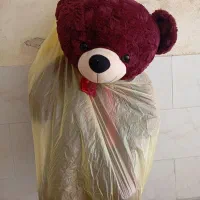 نگهدارنده دوچرخه اسکیت و خرس خارجی|دوچرخه، اسکیت، اسکوتر|اسلام‌شهر, شهرک الهیه|دیوار