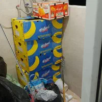 کارتن موز