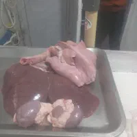 گوشت بره|خوردنی و آشامیدنی|خوسف, |دیوار