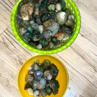 راف سلیمانی ناب توپی کلکسیونی کیلویی|جواهرات|اهواز, شهرک اکباتان|دیوار